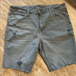 Mens American Eagle Outfitters Next Level Flex Jean Shorts Jorts